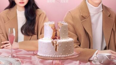 Go Back Lover (2024) Season 1 Chinese Drama