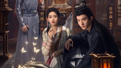 Dawn Amidst Hidden Clouds (2024) Season 1 Chinese Drama