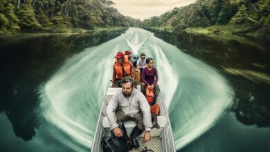 Expedition Amazon (2024)