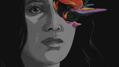 Bird of Paradise (2023)