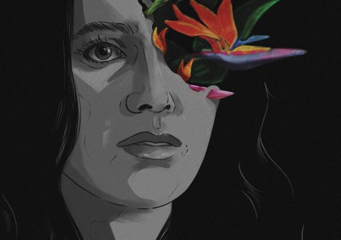 Bird of Paradise (2023)