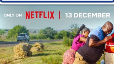 Disaster Holiday (2024)