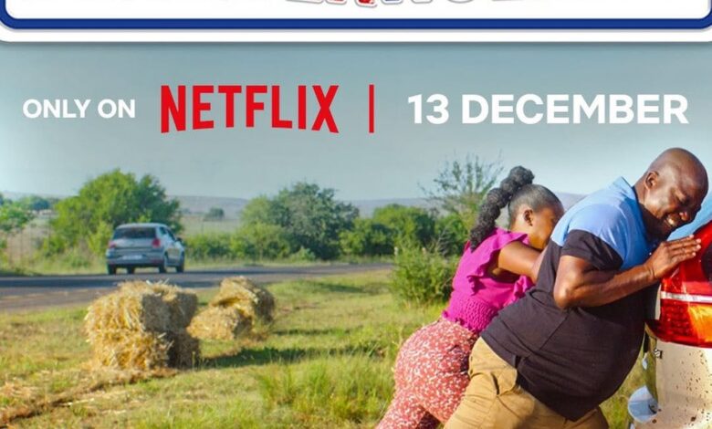 Disaster Holiday (2024)