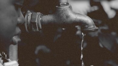 Death at the Faucet: The Untold Story (2024)