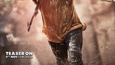 Vinaya Vidheya Rama: VVR (2019) Indian