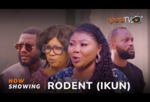 Rodent (Ikun) (2024) Latest Yoruba