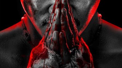 Striking Rescue (2024) Chinese