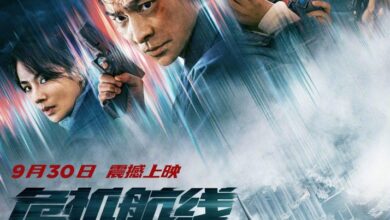 High Forces (2024) Chinese