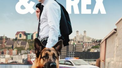 Hudson & Rex (2025) Season 7 TV Series 