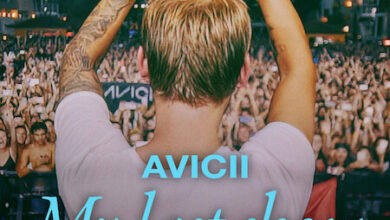 Avicii : My Last Show (2024)