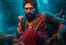 Pushpa: The Rule - Part 2 (Reloaded) (2024) Indian