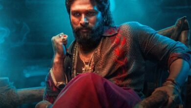 Pushpa: The Rule - Part 2 (Reloaded) (2024) Indian