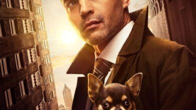 Will Trent (2025) Season 3 TV Series 