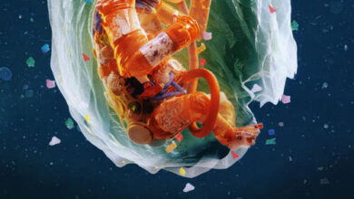 Plastic People (2024)