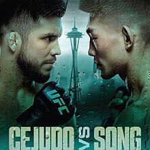 UFC Fight Night 252: Cejudo vs. Song Yadong