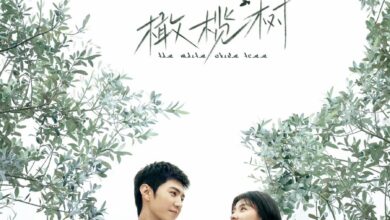 The White Olive Tree (2025) Season 1 Chinese Drama