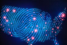 Crime Nation Season 2 TV Series 