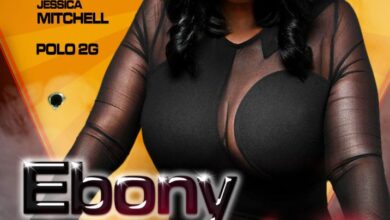 Ebony Hustle 2: Ballistic Protection (2024)