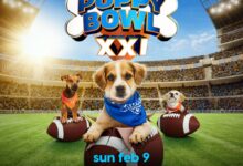 Download Puppy Bowl XXI (2025)