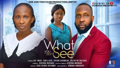 What You Don't See (2025) Latest Nollywood