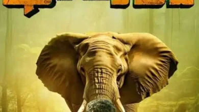 Forest (2025) Indian