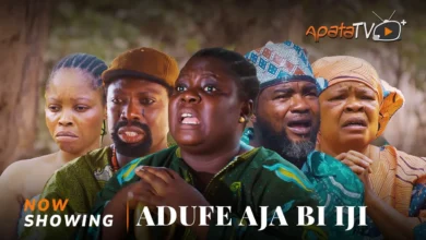 Adufe Aja Bi Iji (2025) Latest Yoruba