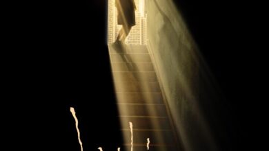 Big World (2024) Chinese