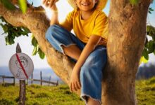 Chico Bento e a Goiabeira Maraviósa (2025)