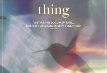 Every Little Thing (2024)