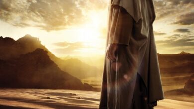 Finding Jesus: Faith. Fact. Forgery. Season 1 (Complete) TV Series