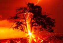 Incandescence (2024)