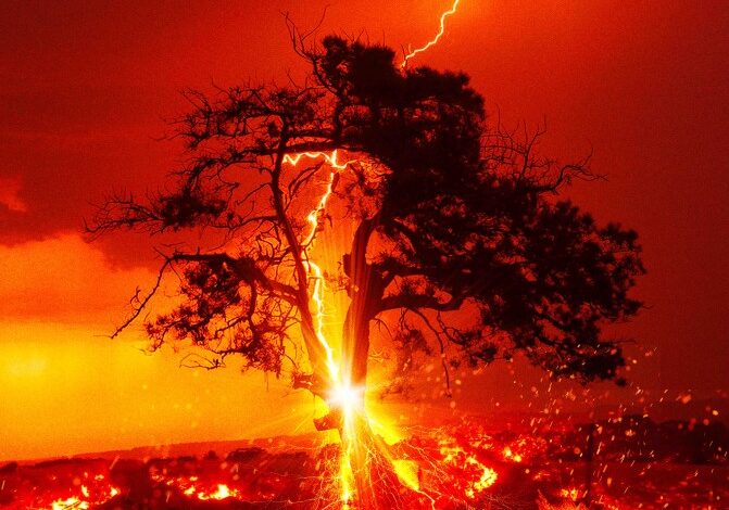 Incandescence (2024)