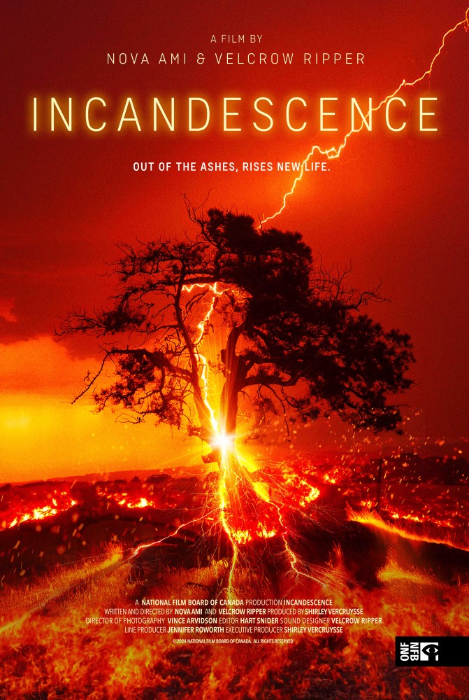 Incandescence (2024)