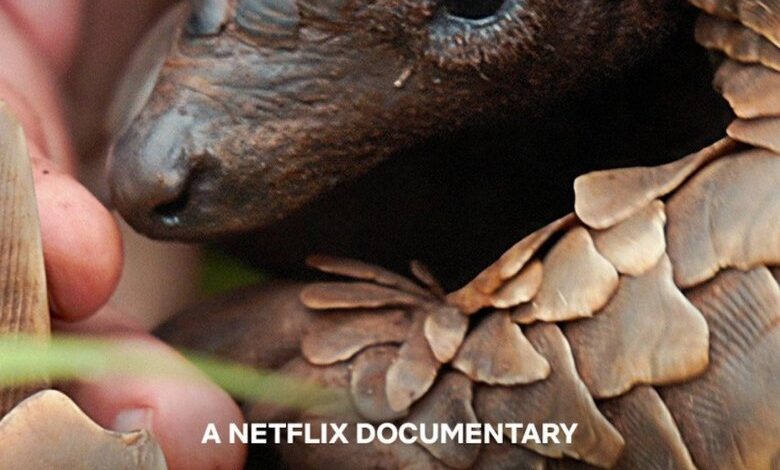 Pangolin: Kulu’s Journey (2025)