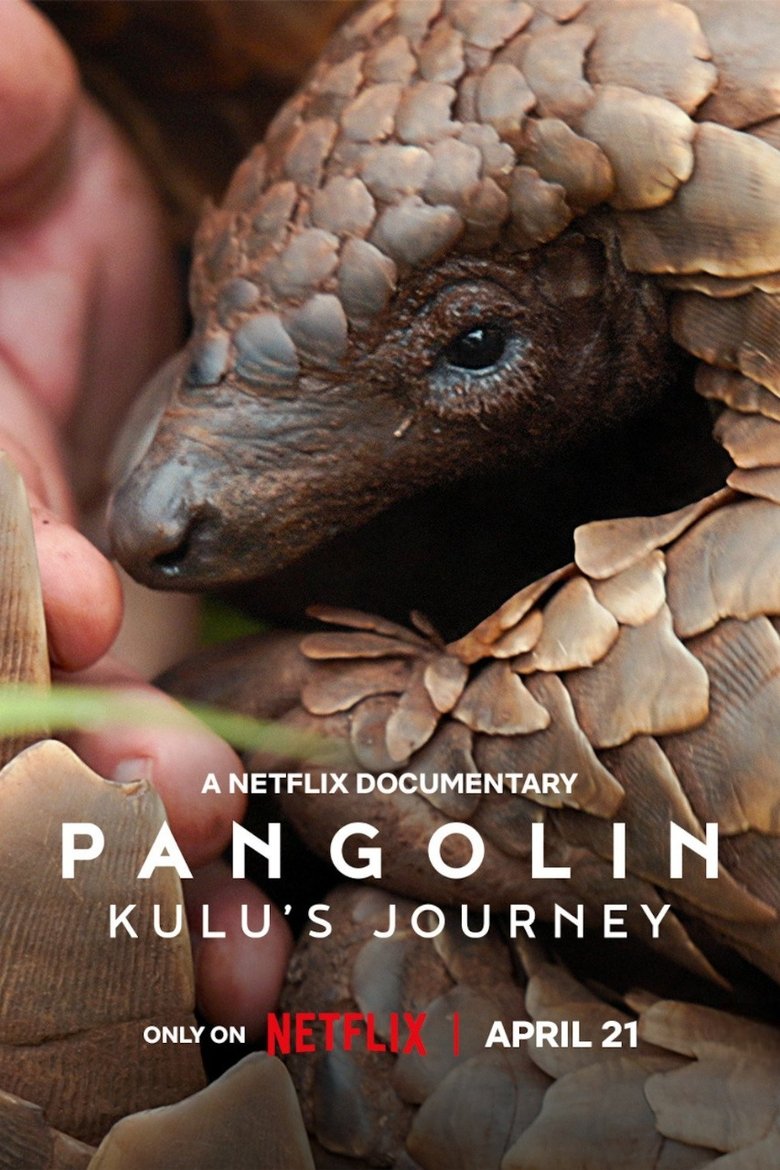 Pangolin: Kulu’s Journey (2025)