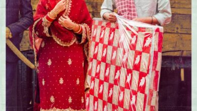 Mittran Da Challeya Truck Ni (2024)