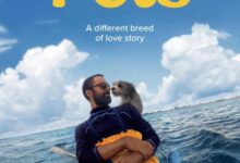 Pets (2025)
