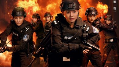Sisters in Arms (2025) Season 1 Chinese Drama