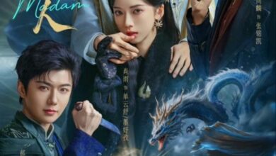 Madam (2025) Season 1 Chinese Drama