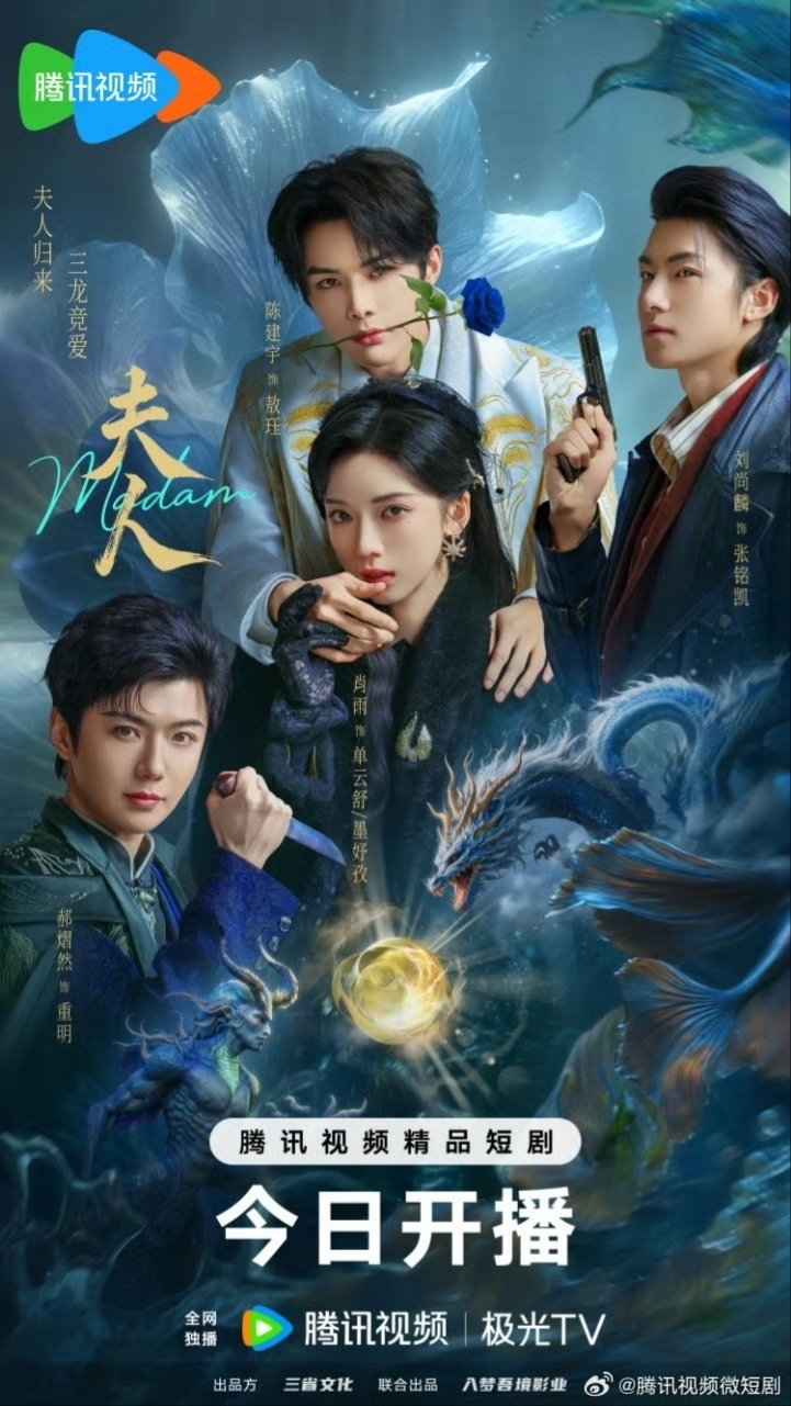 Madam (2025) Season 1 Chinese Drama