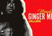 Niniola – Ginger Me (Alum)