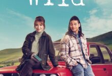 Harry Wild (2022) Season 4 TV Series