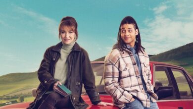 Harry Wild (2022) Season 4 TV Series