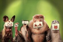 Underdogs (2025) Season 1 TV Series