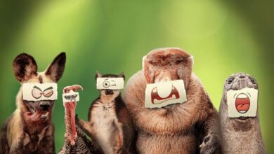 Underdogs (2025) Season 1 TV Series