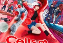 Cells at Work! (2024) Japanese