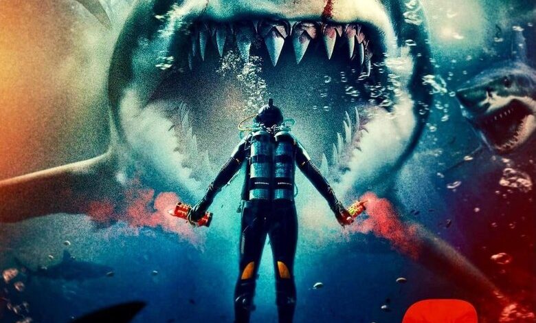 Bull Shark 3