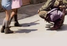 Liberation: D-Day to Berlin