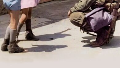 Liberation: D-Day to Berlin