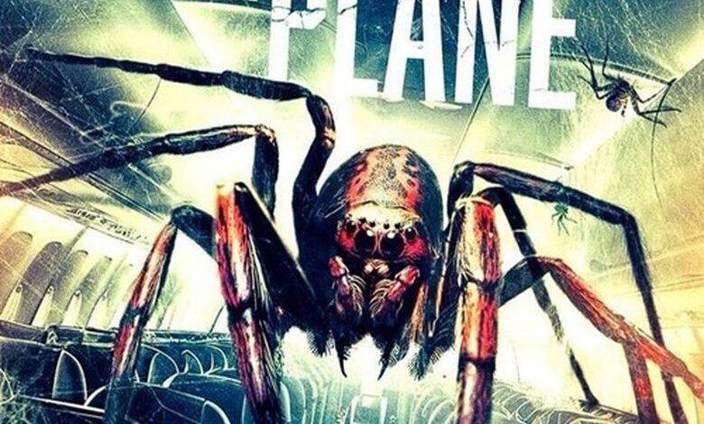 Spiders on a Plane